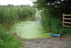 Nutrient enrichment of lakes and rivers is key driver of ecological change throughout the globe